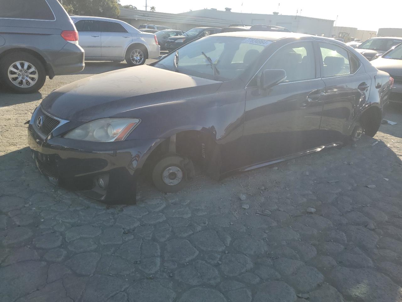 Lot #2974173351 2011 LEXUS IS 250