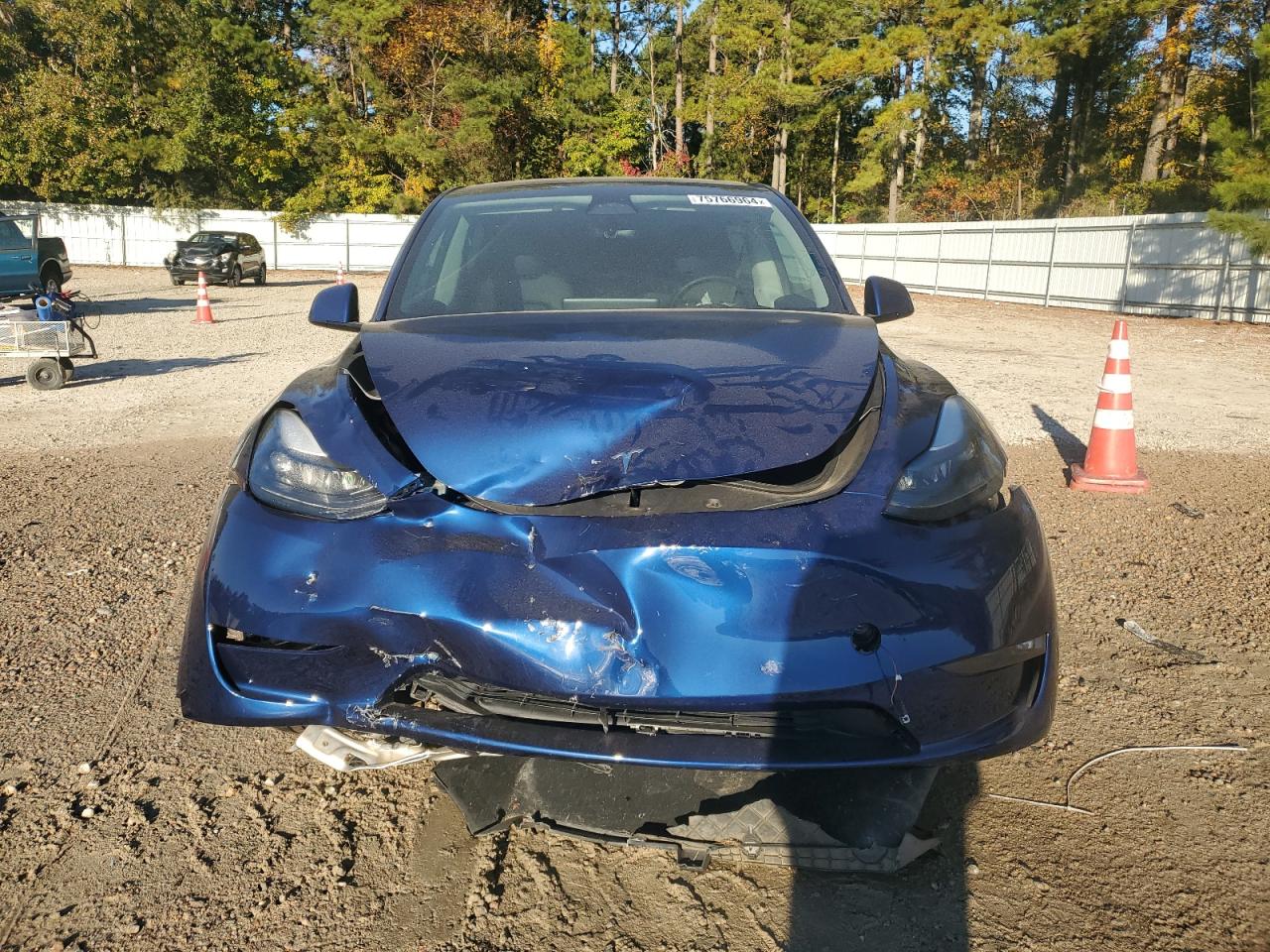 Lot #2991350391 2023 TESLA MODEL Y