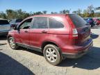 Lot #3045588642 2011 HONDA CR-V SE