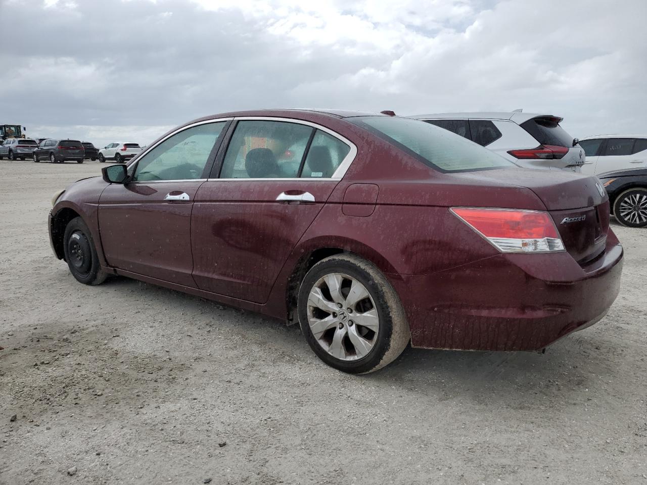 Lot #2996347362 2009 HONDA ACCORD EXL