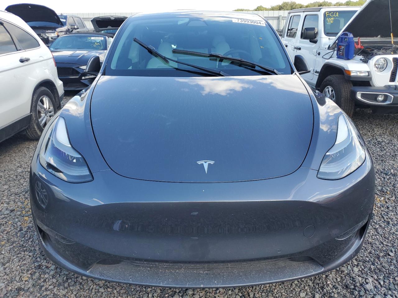 Lot #2986712266 2022 TESLA MODEL Y