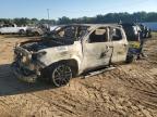2024 TOYOTA TACOMA DOU - 3TYLB5JN4RT029109