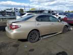 Lot #2945785633 2004 LEXUS ES 330