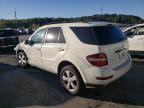 MERCEDES-BENZ ML 350 photo