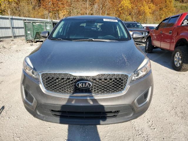 VIN 5XYPG4A31HG226211 2017 KIA SORENTO no.5