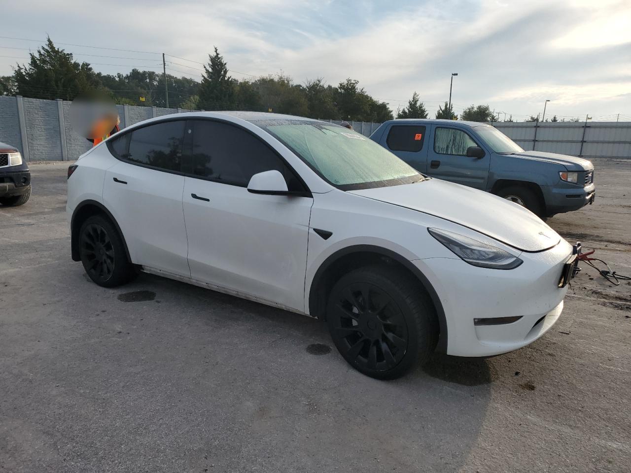 Lot #2962593806 2021 TESLA MODEL Y