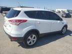 Lot #3006805521 2013 FORD ESCAPE SE