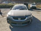 HONDA ACCORD EXL photo