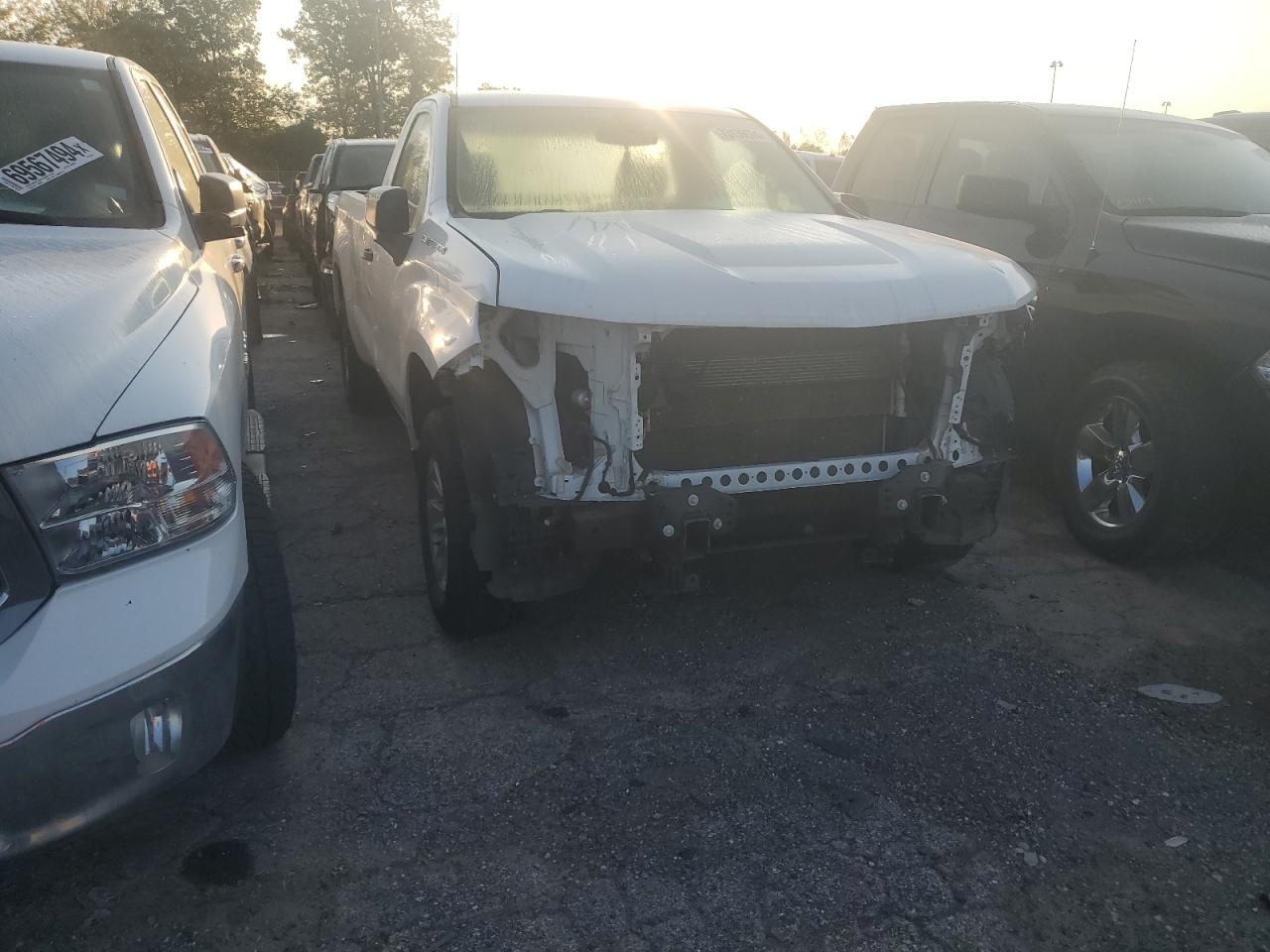 Lot #2989187612 2020 CHEVROLET SILVERADO