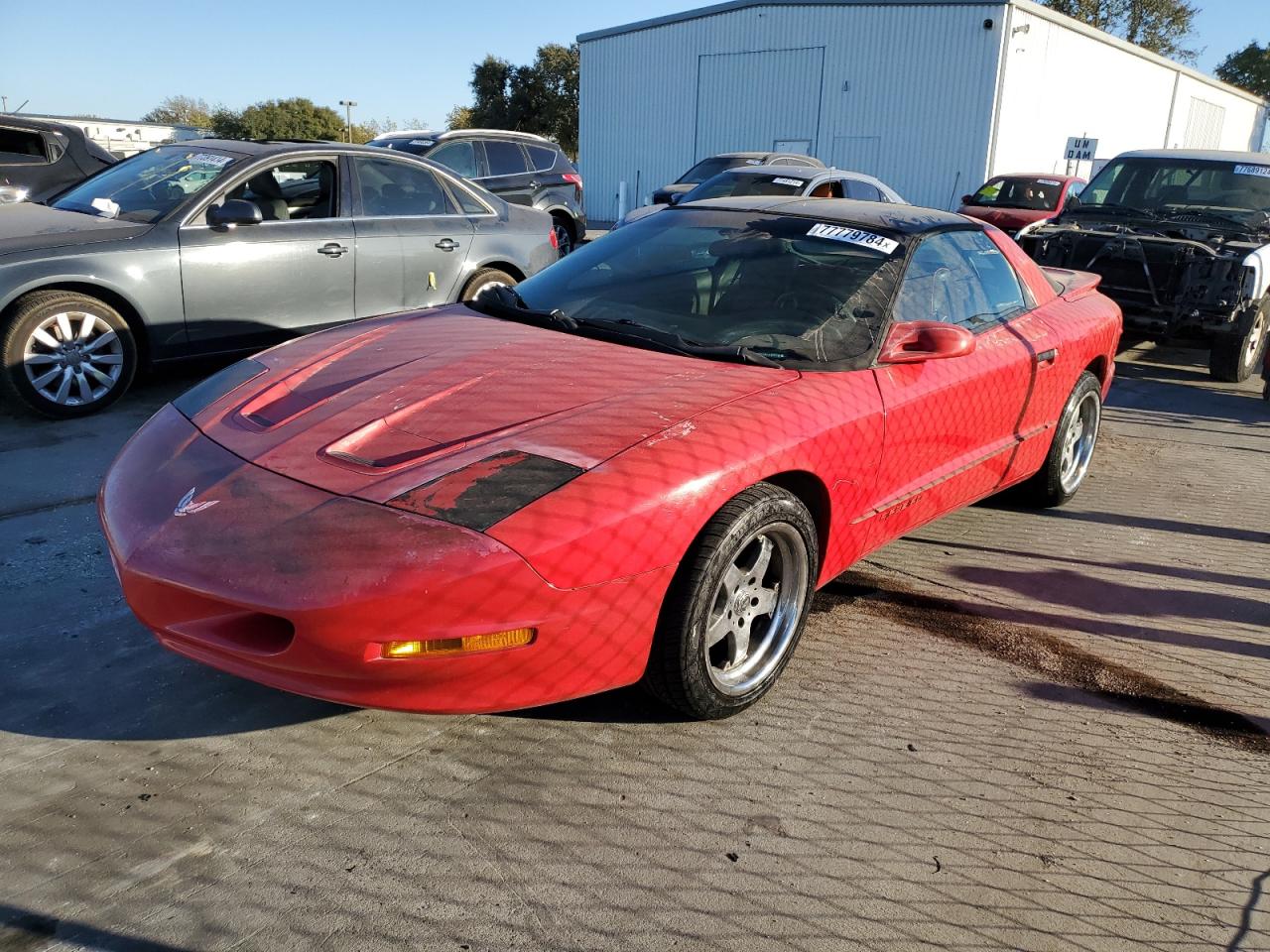 Lot #2925832232 1995 PONTIAC FIREBIRD