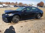 Lot #3024894363 2024 TOYOTA CAMRY SE N