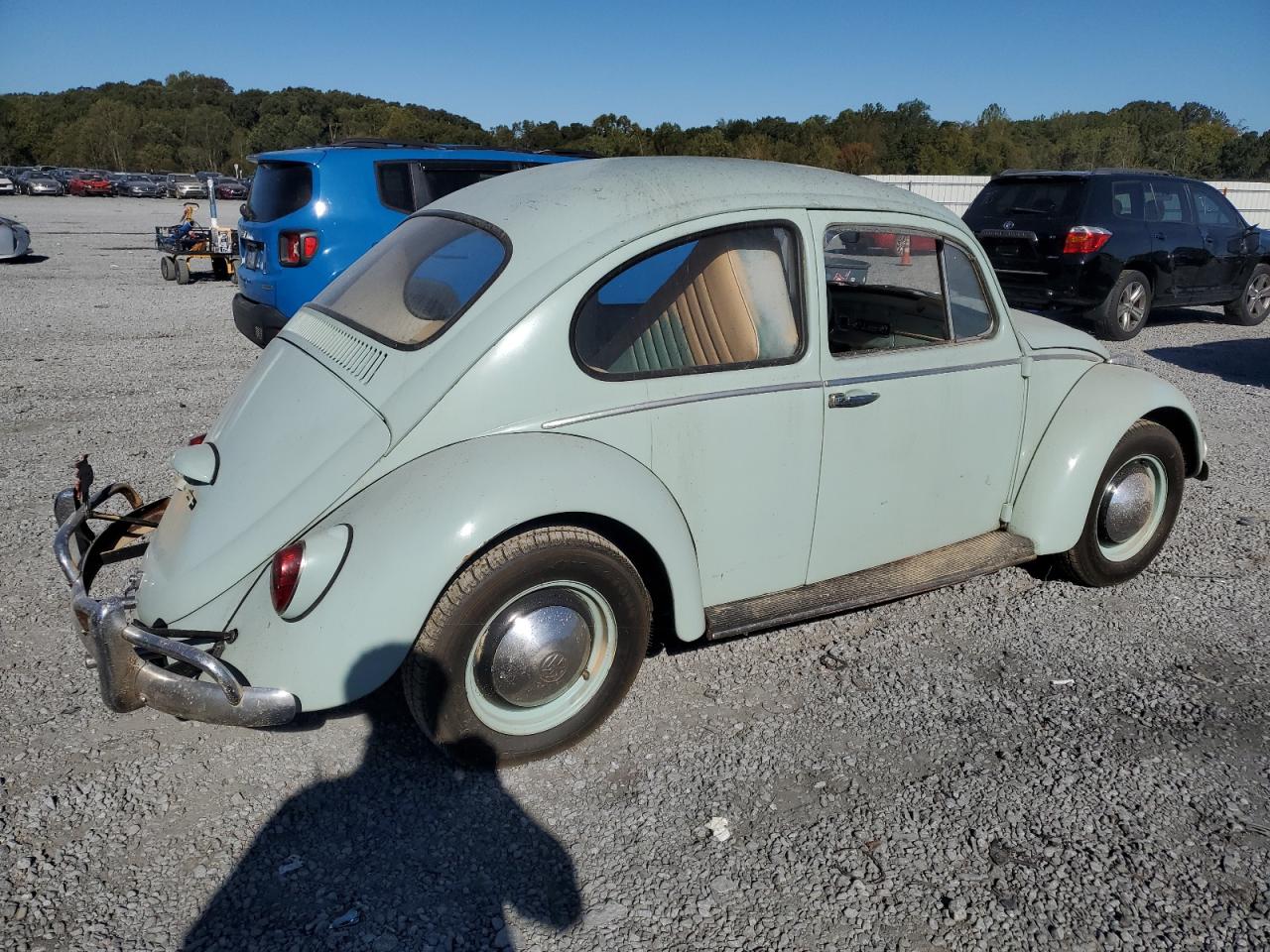 Lot #2955383798 1965 VOLKSWAGEN BEETLE