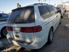 HONDA ODYSSEY LX photo