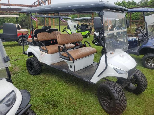 ASPT GOLF CART 2024 white   FLA130636 photo #1