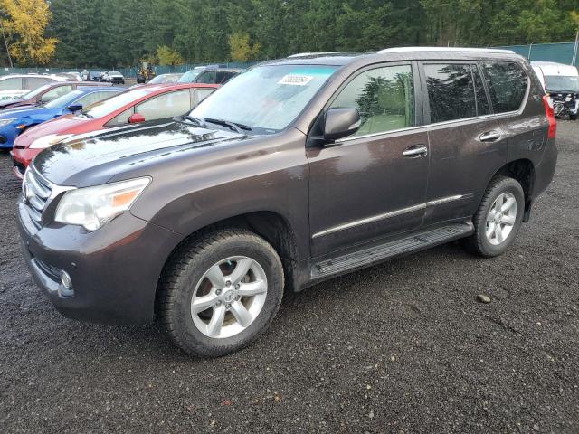 LEXUS GX 460 2012 brown 4dr spor gas JTJBM7FX9C5046618 photo #1