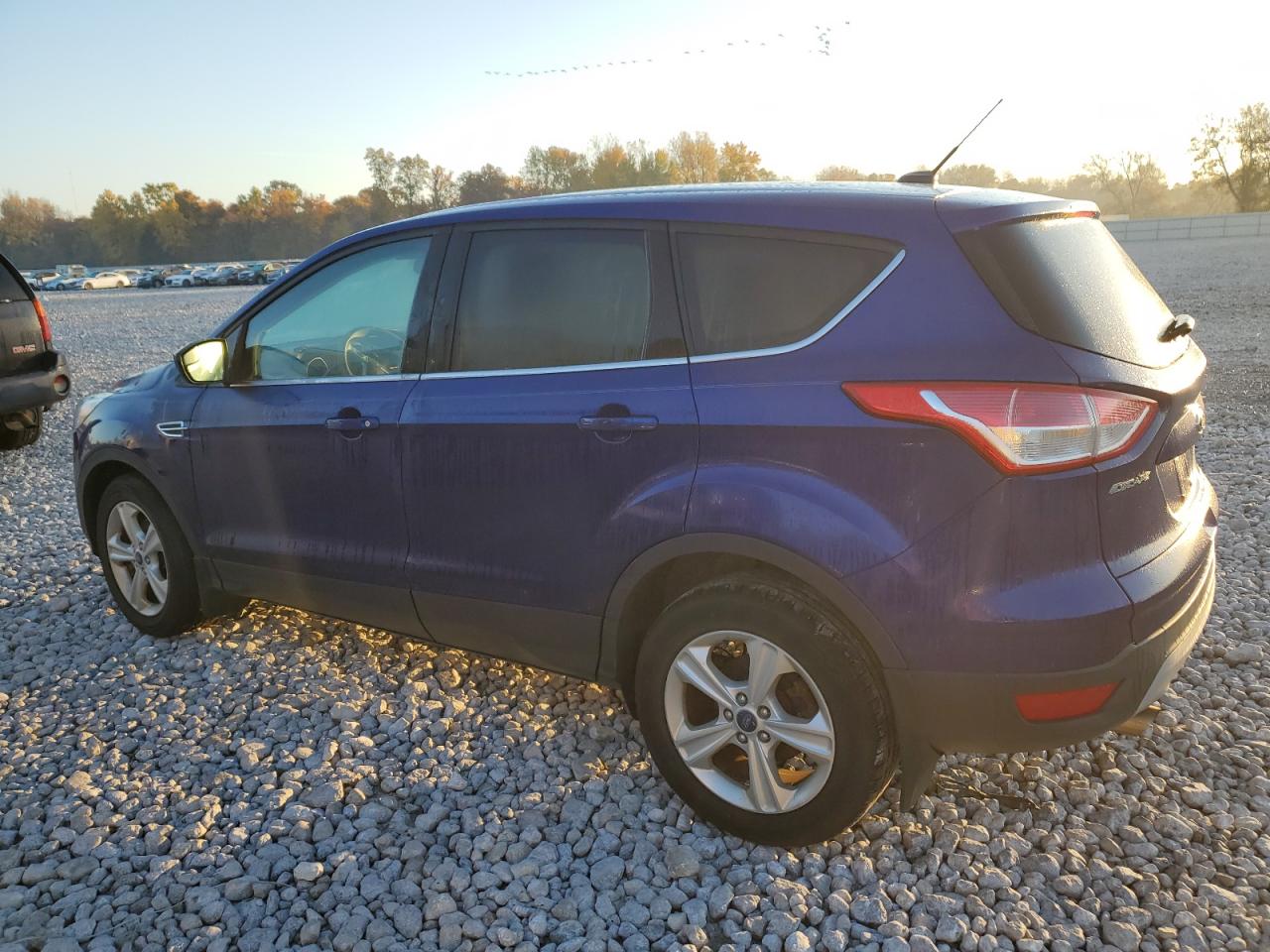 Lot #2920888314 2014 FORD ESCAPE SE