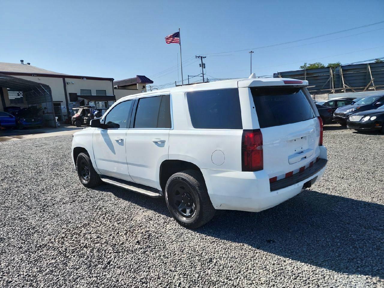 Lot #2873844089 2016 CHEVROLET TAHOE POLI