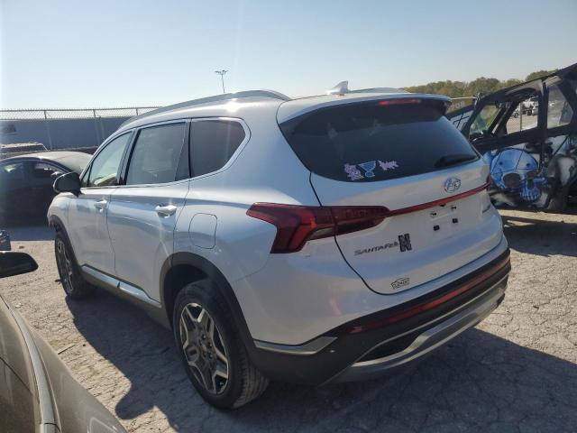 2021 HYUNDAI SANTA FE L - 5NMS4DAL3MH372239