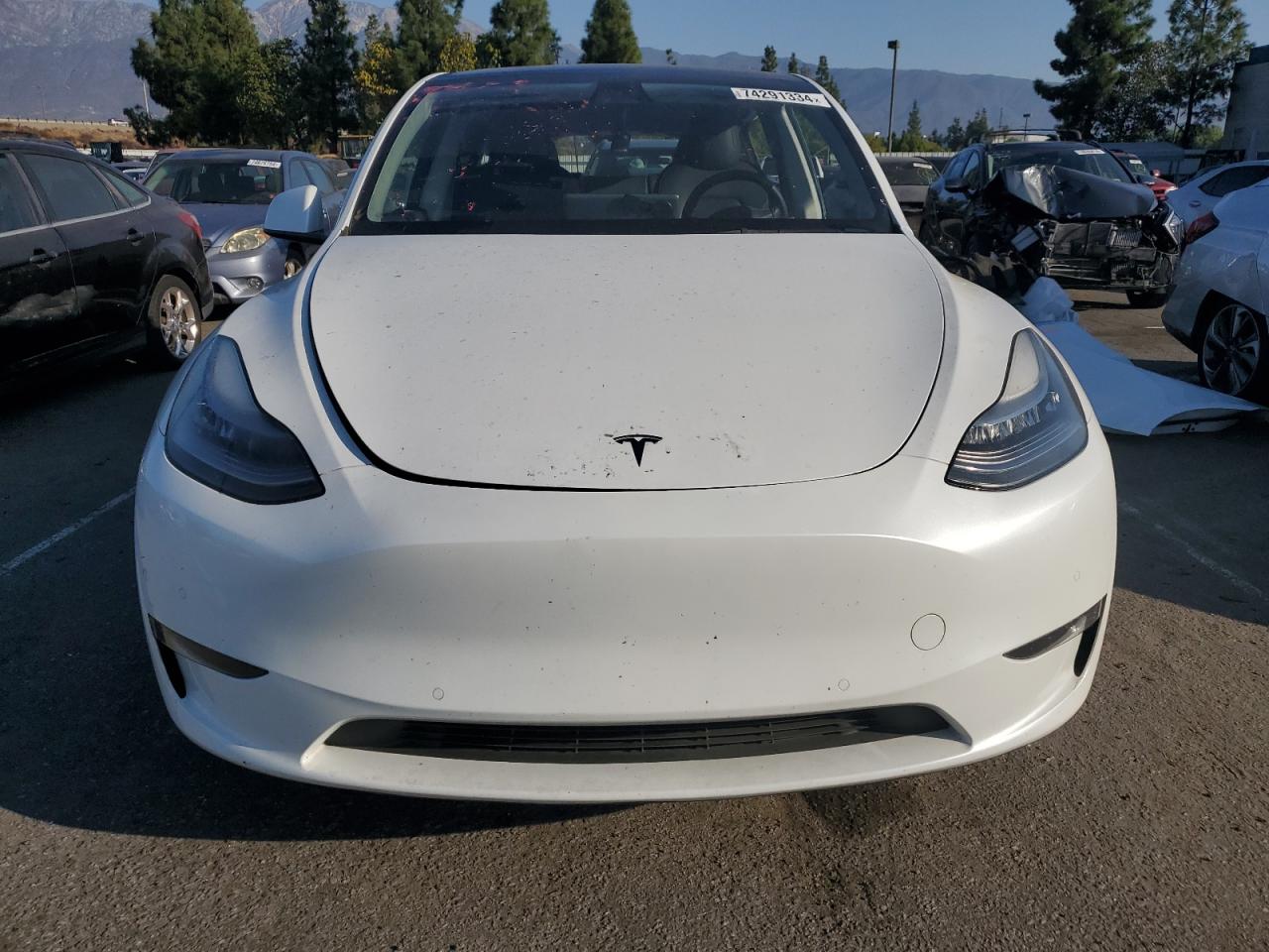 Lot #2974377477 2021 TESLA MODEL Y