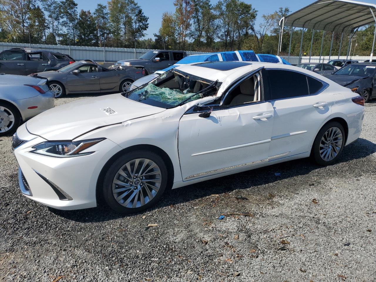 Lot #2921385842 2019 LEXUS ES 350