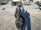 Lot #3024305999 2022 HARLEY-DAVIDSON XL883 N