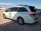 HONDA ODYSSEY SE photo