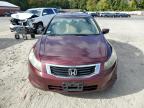 HONDA ACCORD EX photo