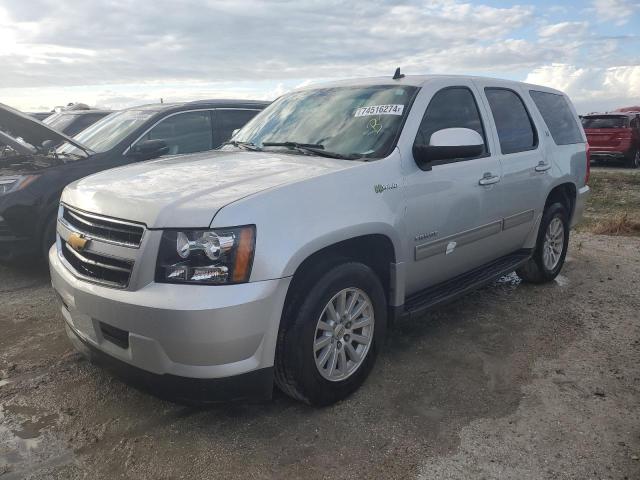 CHEVROLET TAHOE HYBR