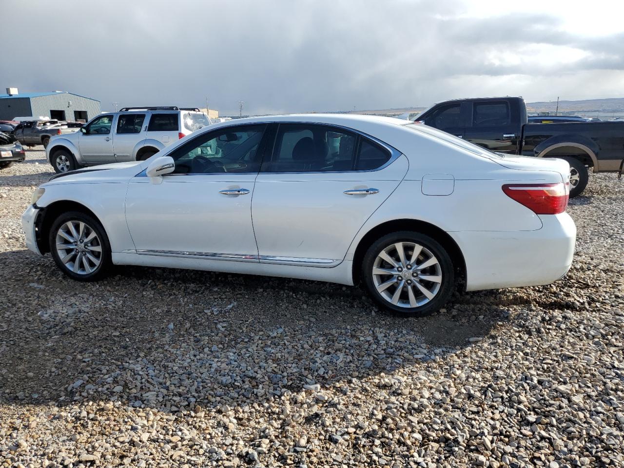 Lot #2960414115 2010 LEXUS LS 460