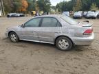 Lot #3024854362 2002 HONDA ACCORD EX