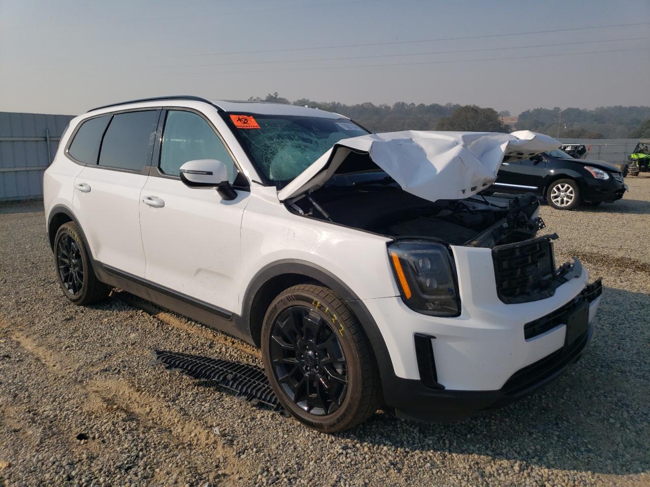 Lot #2991759301 2021 KIA TELLURIDE