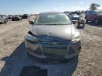 Lot #3023258123 2014 FORD FOCUS SE