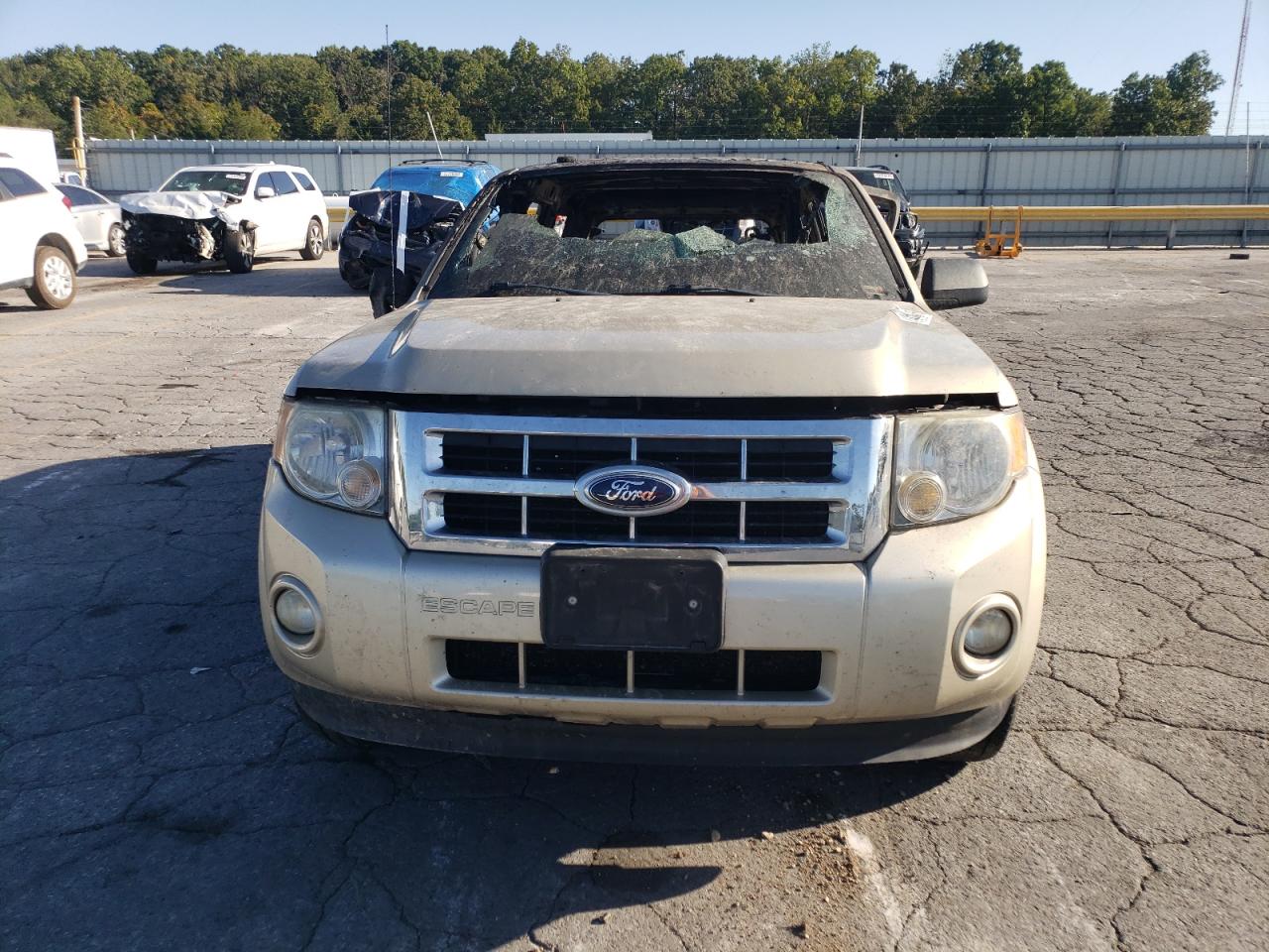 Lot #2972378499 2012 FORD ESCAPE XLT