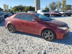 KIA FORTE EX photo