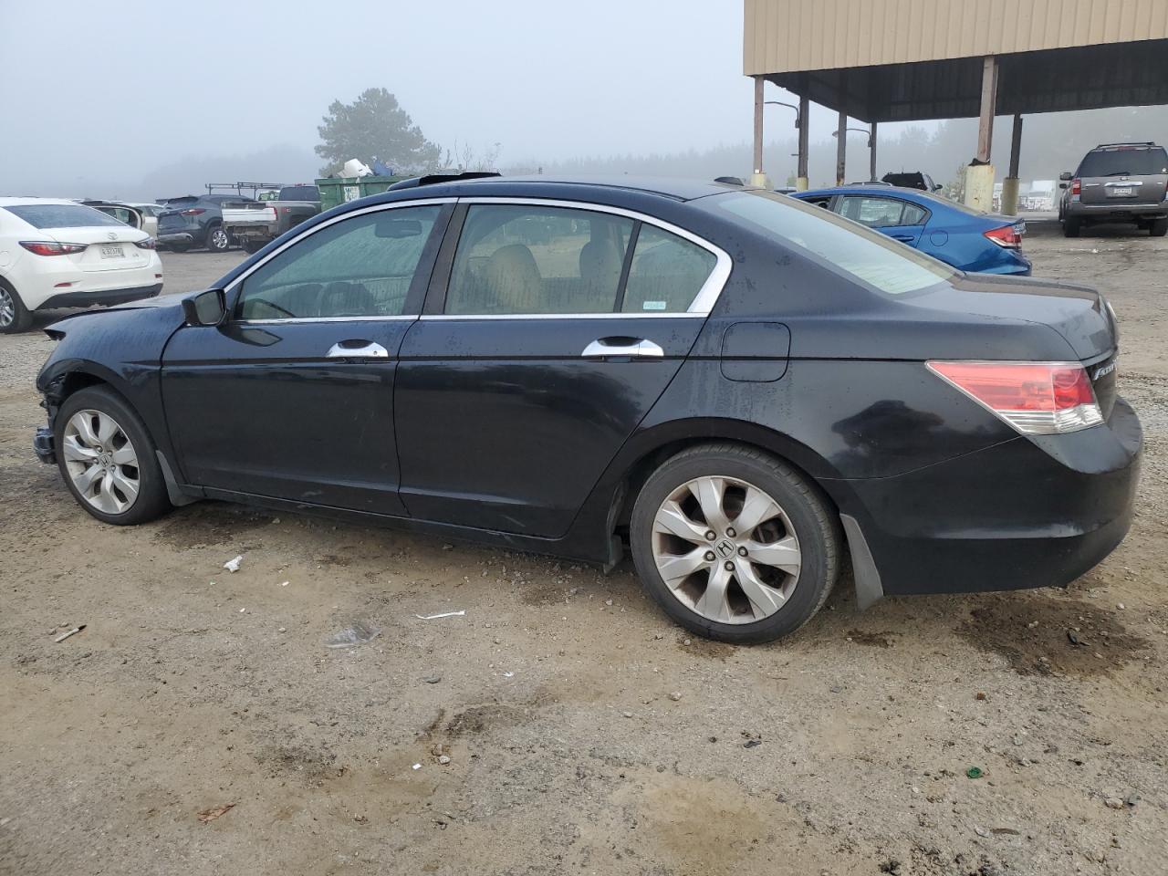 Lot #2972343586 2008 HONDA ACCORD EXL