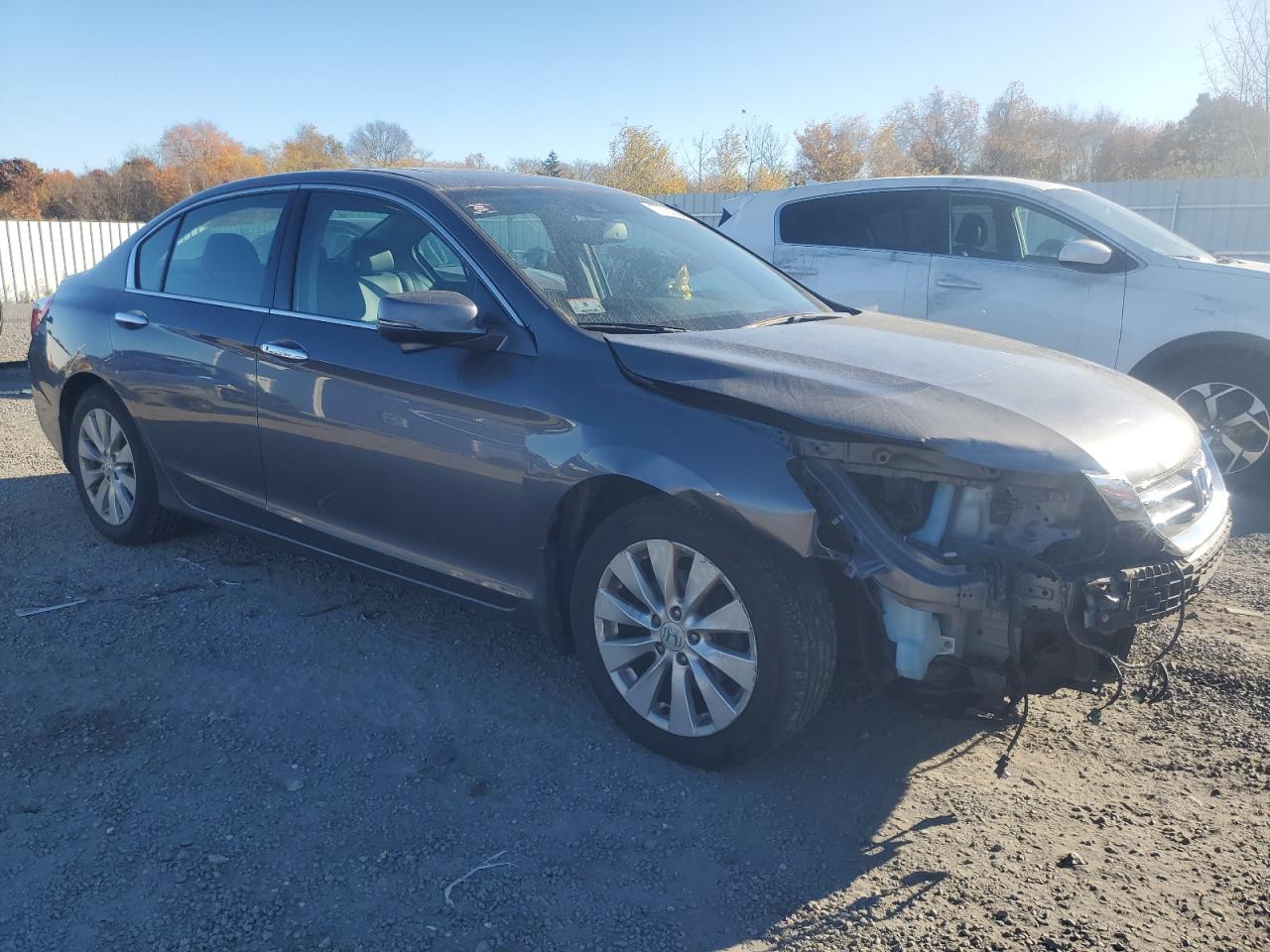 Lot #2972069297 2014 HONDA ACCORD EXL