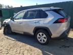 Lot #3024229845 2024 TOYOTA RAV4 LE