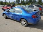 Lot #3023620235 2005 DODGE NEON SXT