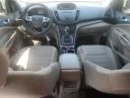 Lot #3006805521 2013 FORD ESCAPE SE