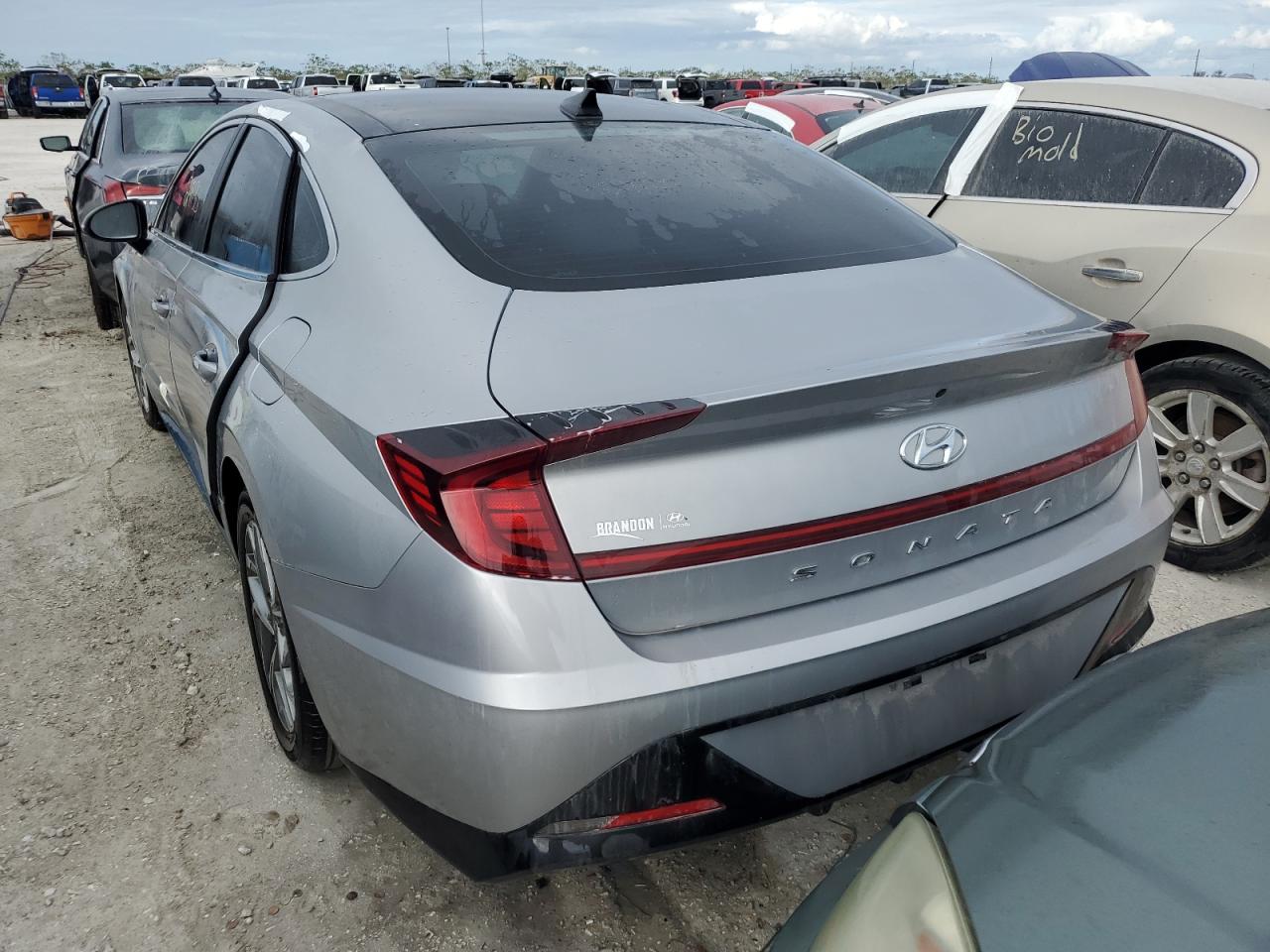 Lot #2996566690 2023 HYUNDAI SONATA SEL