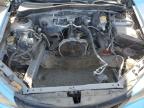 Lot #3028321786 2008 SUBARU IMPREZA WR