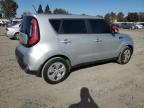 KIA SOUL photo