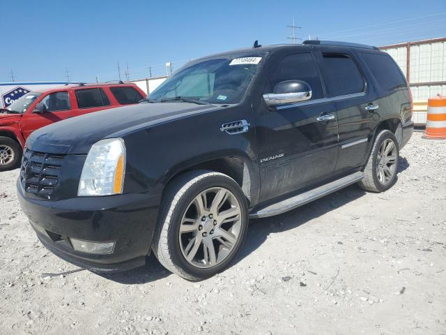 2010 CADILLAC ESCALADE 2010