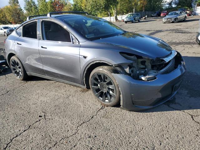 2023 TESLA MODEL Y - 7SAYGDEEXPF598767