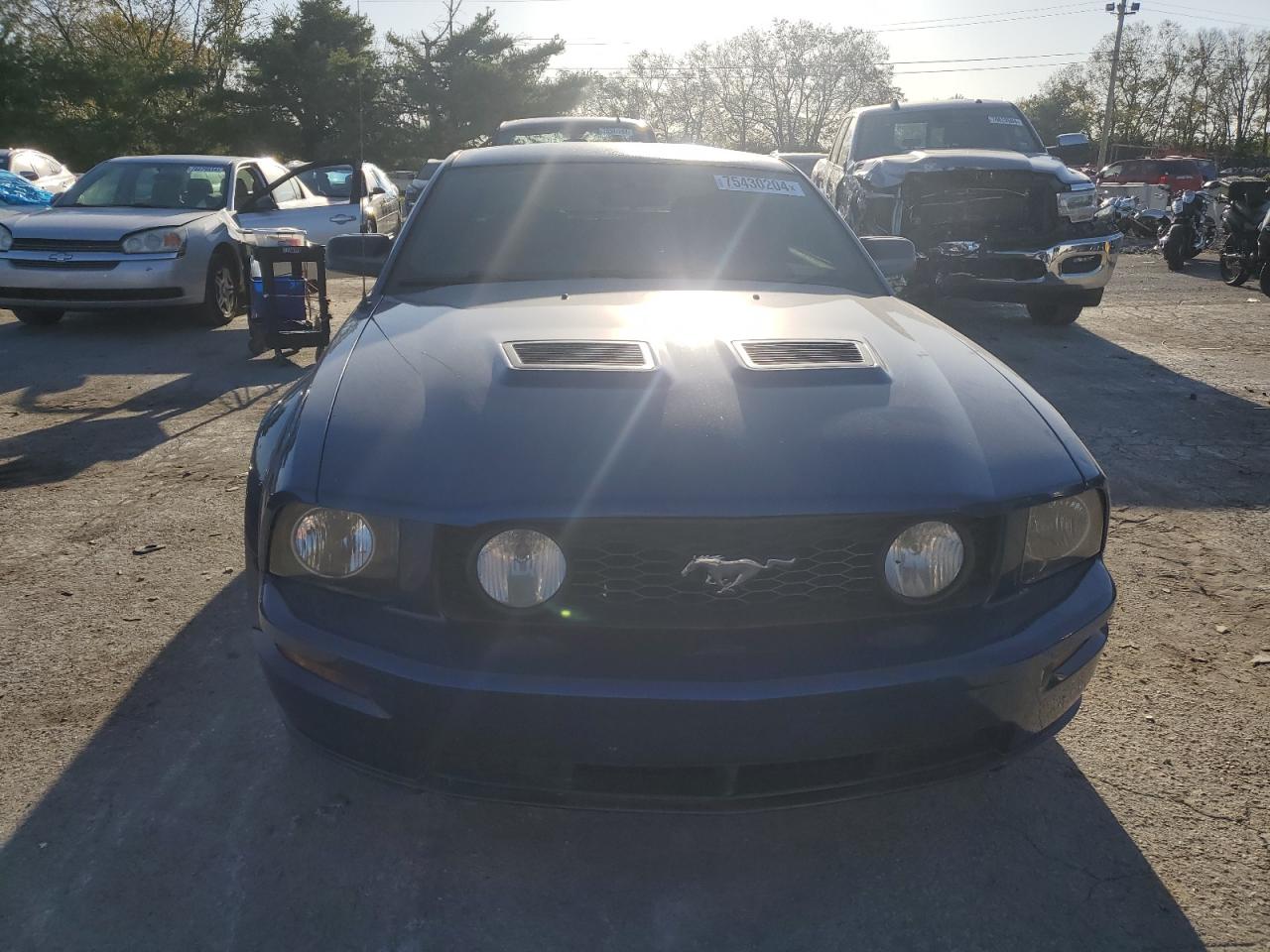 Lot #2907603628 2007 FORD MUSTANG GT