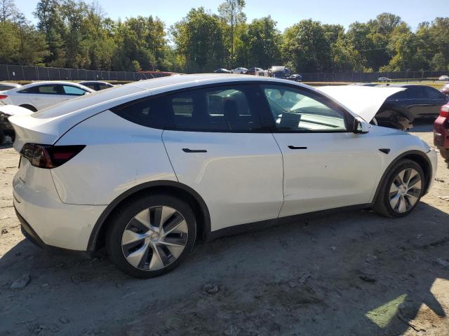 2022 TESLA MODEL Y - 7SAYGAEE8NF358449