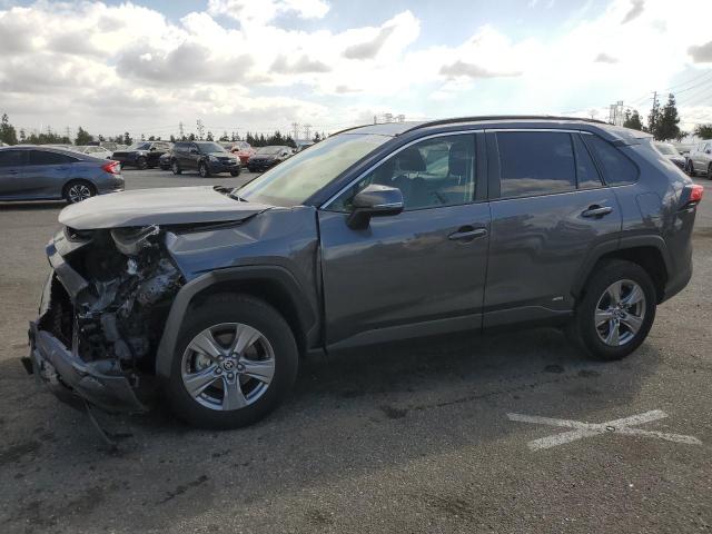 2024 TOYOTA RAV4 XLE #3029418703