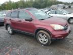 HONDA CR-V EX photo