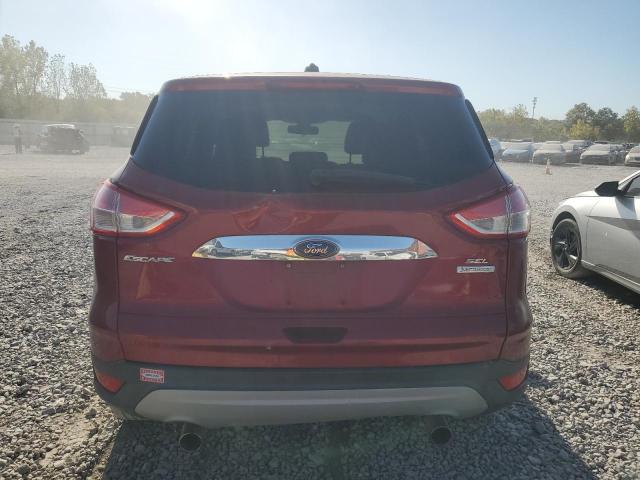 VIN 1FMCU0H90DUA79216 2013 Ford Escape, Sel no.6