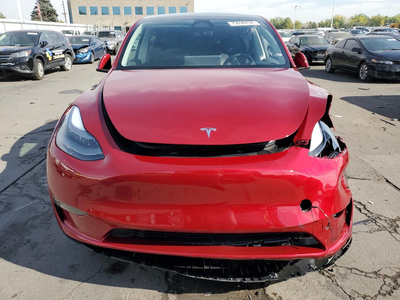 Lot #2919458414 2024 TESLA MODEL Y